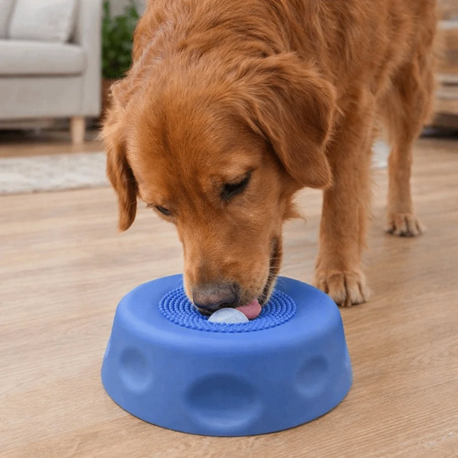 Bol de Léchage d'Occupation pour Chien | Apaisimaux